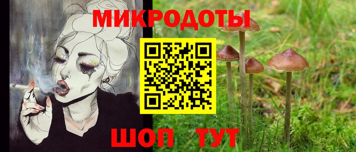 Галлюциногенные грибы Psilocybine cubensis  Псилоцибиновые грибы мухоморы  Вход с VPN  Мариинск 