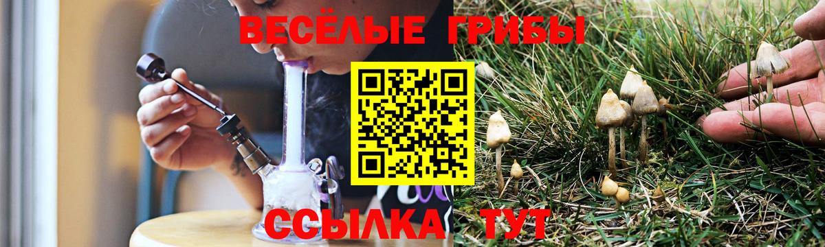 Галлюциногенные грибы GOLDEN TEACHER Мариинск